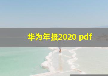 华为年报2020 pdf